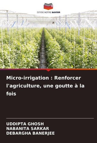 Micro-irrigation : Renforcer l'agriculture, une goutte à la fois