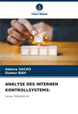 ANALYSE DES INTERNEN KONTROLLSYSTEMS: