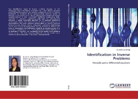 Identification in Inverse Problems