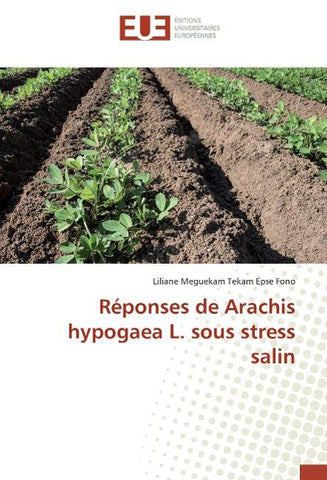 Réponses de Arachis hypogaea L. sous stress salin
