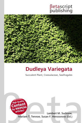 Dudleya Variegata
