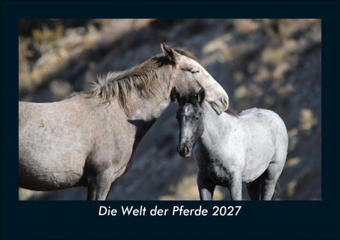 Die Welt der Pferde 2027 Fotokalender DIN A5