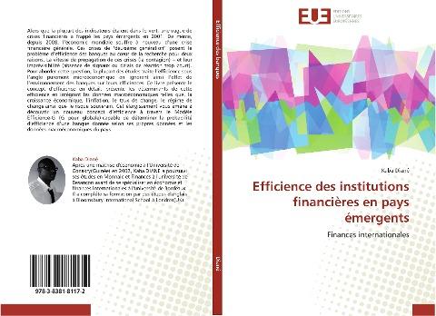 Efficience des institutions financières en pays émergents