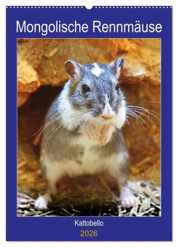 Mongolische Rennmäuse (Wandkalender 2026 DIN A2 hoch), CALVENDO Monatskalender