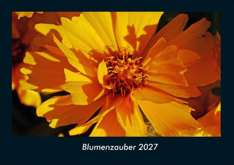 Blumenzauber 2027 Fotokalender DIN A4