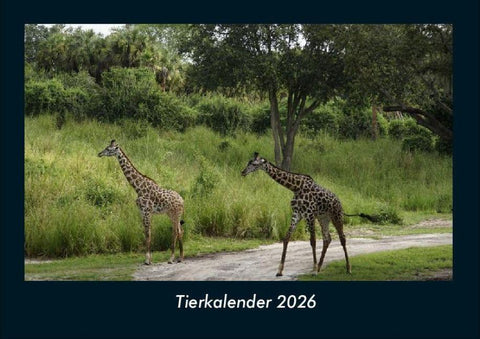 Tierkalender 2026 Fotokalender DIN A4