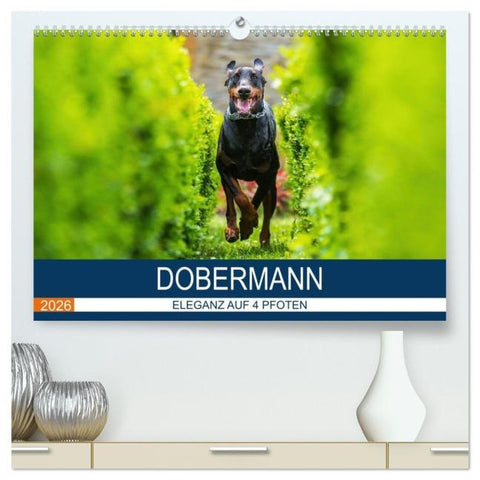 Dobermann 2026 (hochwertiger Premium Wandkalender 2026 DIN A2 quer), Kunstdruck in Hochglanz