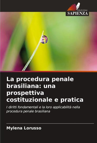 La procedura penale brasiliana: una prospettiva costituzionale e pratica