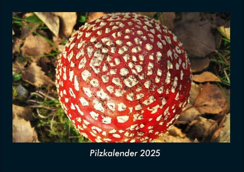 Pilzkalender 2025 Fotokalender DIN A4
