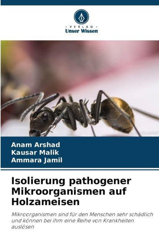 Isolierung pathogener Mikroorganismen auf Holzameisen