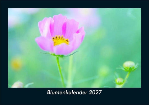 Blumenkalender 2027 Fotokalender DIN A5