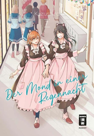 Der Mond in einer Regennacht 07