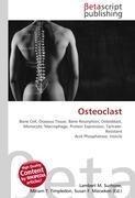 Osteoclast