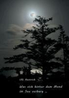 Was sich hinter dem Mond im See verbarg ...