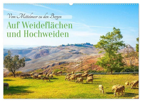 Auf Weideflächen und Hochweiden (Wandkalender 2026 DIN A2 quer), CALVENDO Monatskalender
