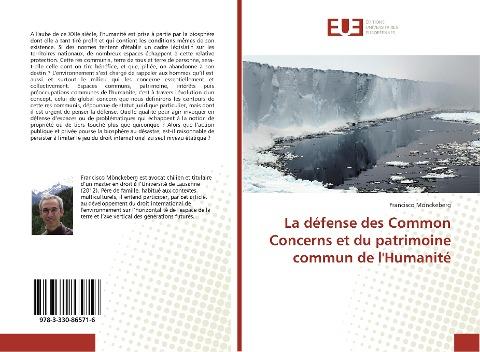 La défense des Common Concerns et du patrimoine commun de l'Humanité
