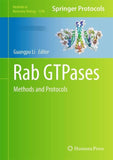 Rab GTPases