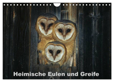 Heimische Eulen und Greife (Wandkalender 2026 DIN A4 quer), CALVENDO Monatskalender
