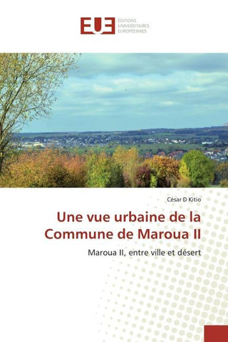 Une vue urbaine de la Commune de Maroua II
