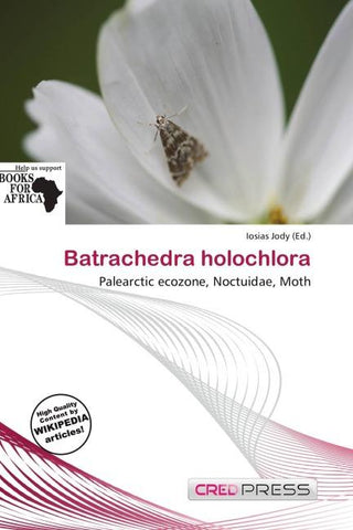 Batrachedra holochlora