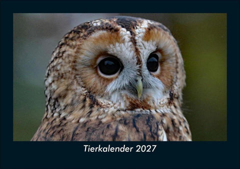 Tierkalender 2027 Fotokalender DIN A5