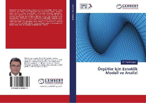 Örgütler için Esneklik Modeli ve Analizi