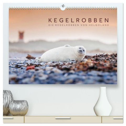 Kegelrobben - Die Kegelrobben von Helgoland (hochwertiger Premium Wandkalender 2026 DIN A2 quer), Kunstdruck in Hochglanz