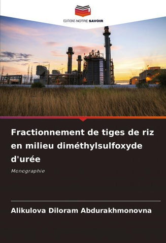 Fractionnement de tiges de riz en milieu diméthylsulfoxyde d'urée