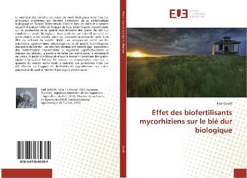 Effet des biofertilisants mycorhiziens sur le blé dur biologique