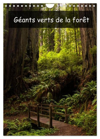 Géants verts de la forêt (Calendrier mural 2026 DIN A4 horizontal), CALVENDO calendrier mensuel