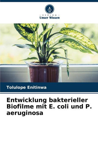 Entwicklung bakterieller Biofilme mit E. coli und P. aeruginosa