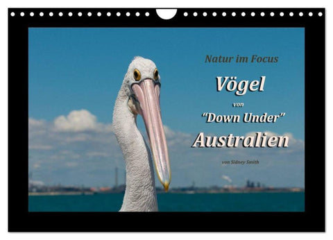 Vögel von "Down Under" Australien (Wandkalender 2026 DIN A4 quer), CALVENDO Monatskalender
