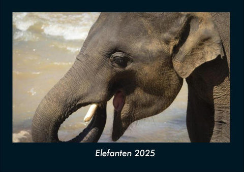 Elefanten 2025 Fotokalender DIN A4