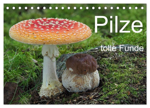 Pilze - tolle Funde (Tischkalender 2027 DIN A5 quer), CALVENDO Monatskalender