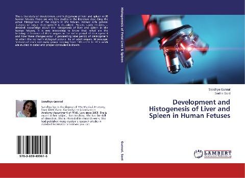 Development and Histogenesis of Liver and Spleen in Human Fetuses