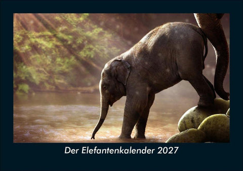 Der Elefantenkalender 2027 Fotokalender DIN A5