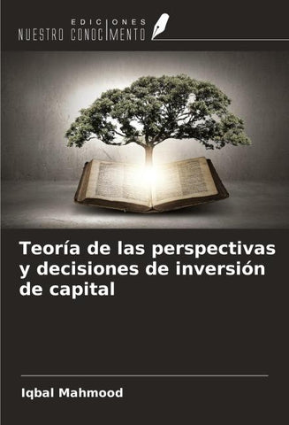 Teoría de las perspectivas y decisiones de inversión de capital