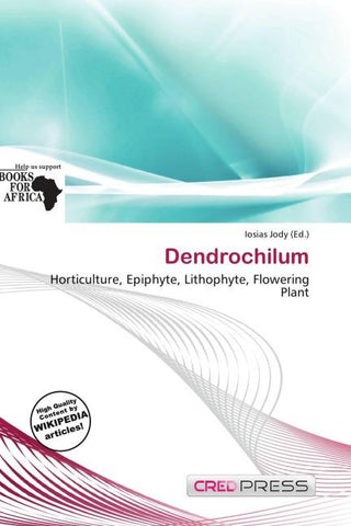 Dendrochilum