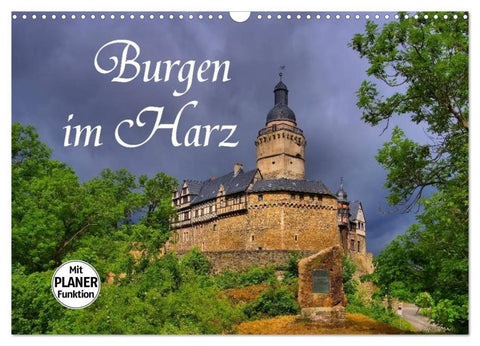 Burgen im Harz (Wandkalender 2026 DIN A3 quer), CALVENDO Monatskalender