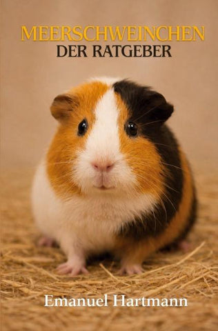Meerschweinchen