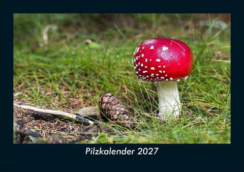 Pilzkalender 2027 Fotokalender DIN A5