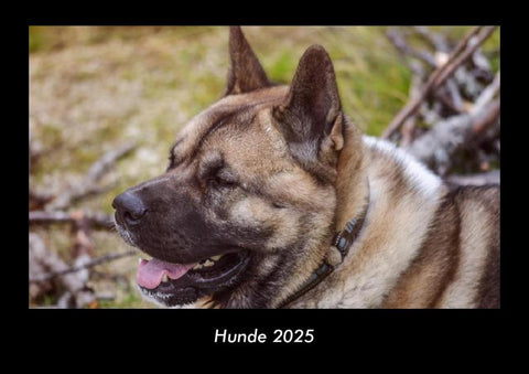 Hunde 2025 Fotokalender DIN A3