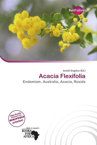 Acacia Flexifolia