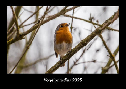 Vogelparadies 2025 Fotokalender DIN A3
