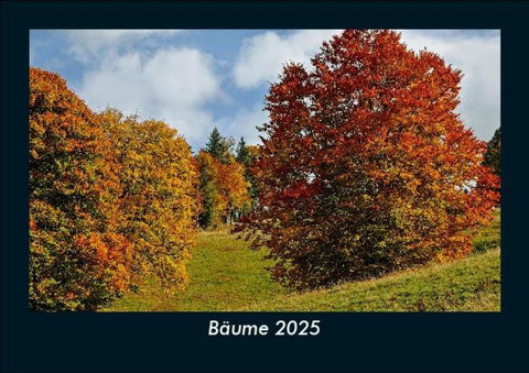 Bäume 2025 Fotokalender DIN A5
