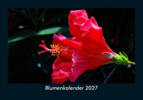 Blumenkalender 2027 Fotokalender DIN A5