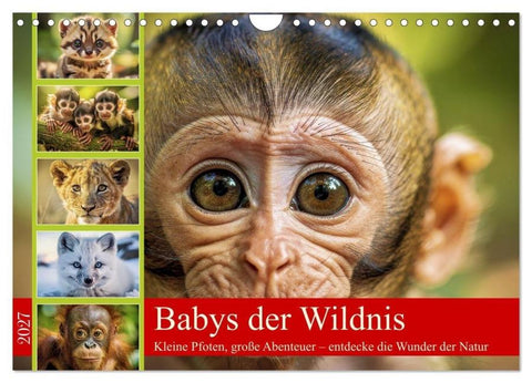 Babys der Wildnis (Wandkalender 2027 DIN A4 quer), CALVENDO Monatskalender