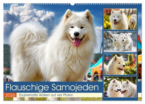 Flauschige Samojeden. Zauberhafte Wolken auf vier Pfoten (Wandkalender 2026 DIN A2 quer), CALVENDO Monatskalender