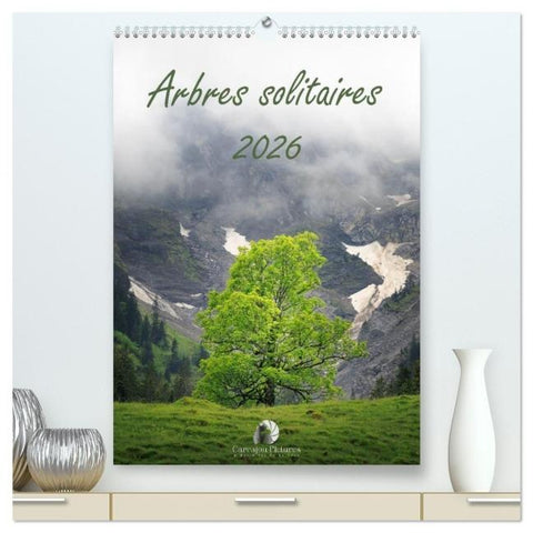 Arbres solitaires (Calendrier mural 2026 DIN A2 horizontal) calendrier de bureau