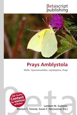 Prays Amblystola